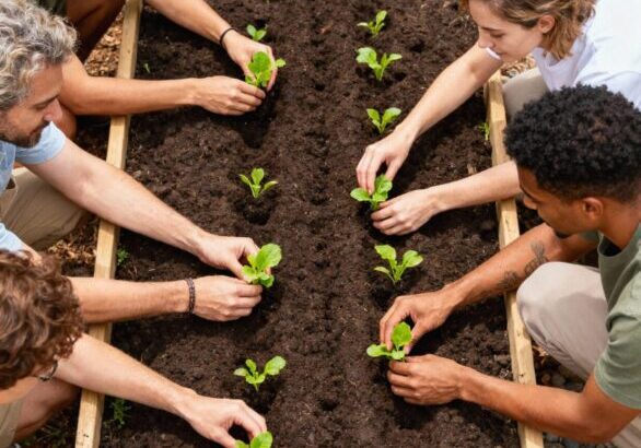 people-planting-vegetables-garden-bed-scaled